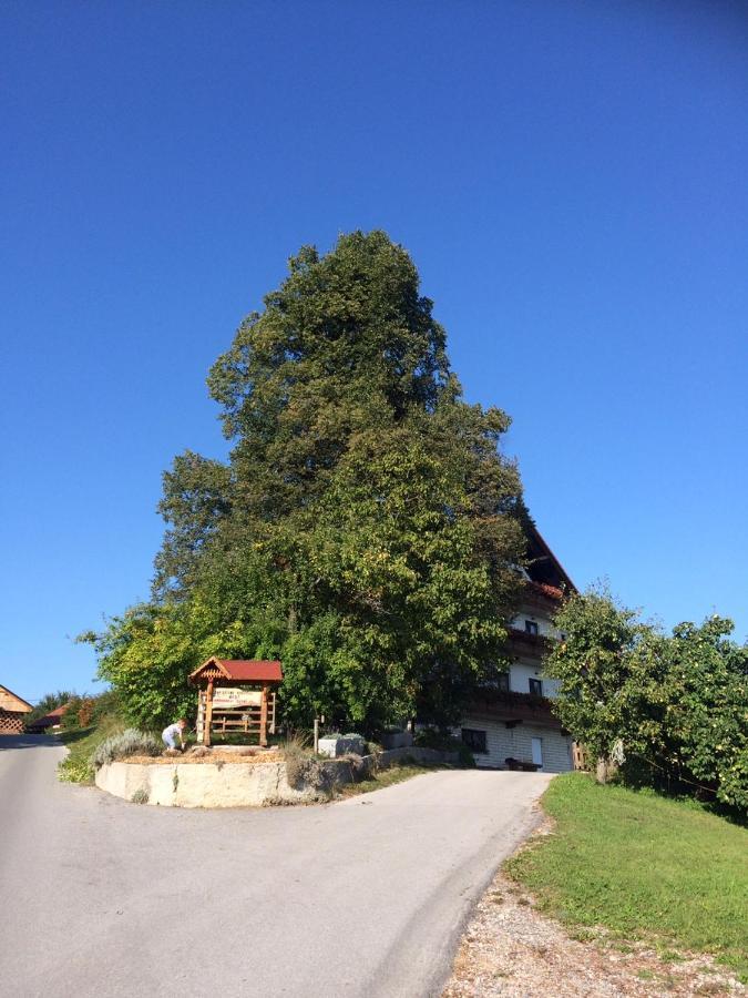 Country House Apat Sostanj Zewnętrze zdjęcie