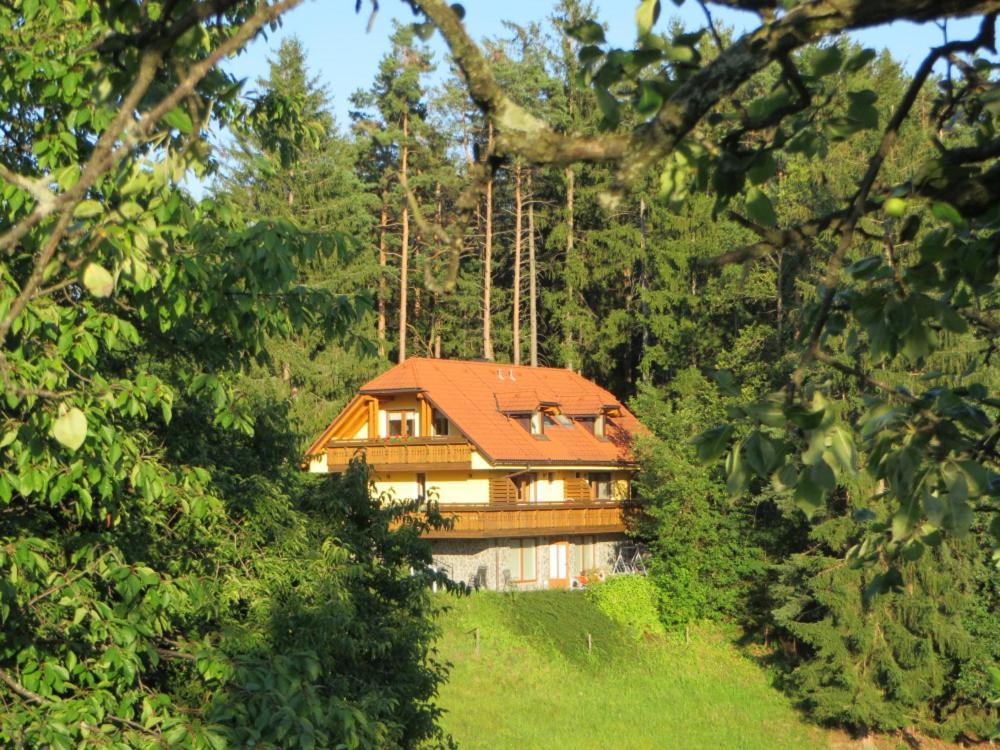 Country House Apat Sostanj Zewnętrze zdjęcie
