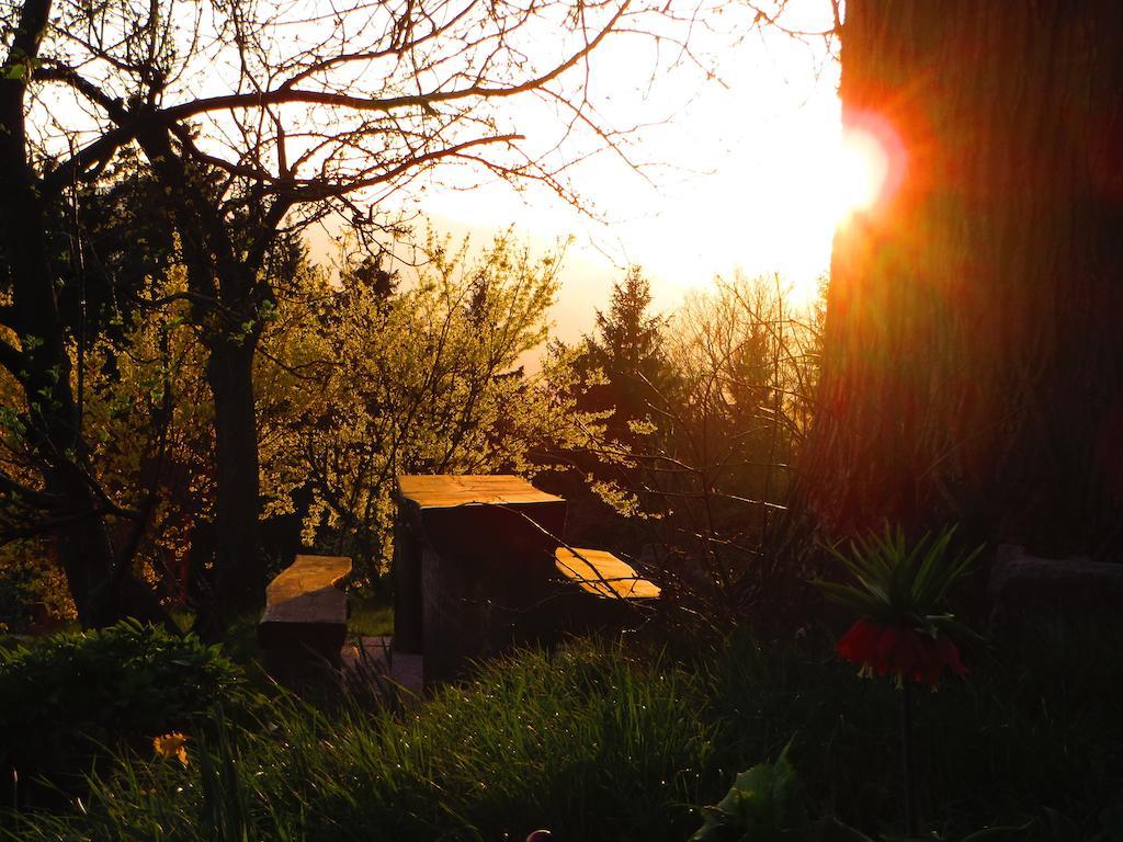 Country House Apat Sostanj Zewnętrze zdjęcie