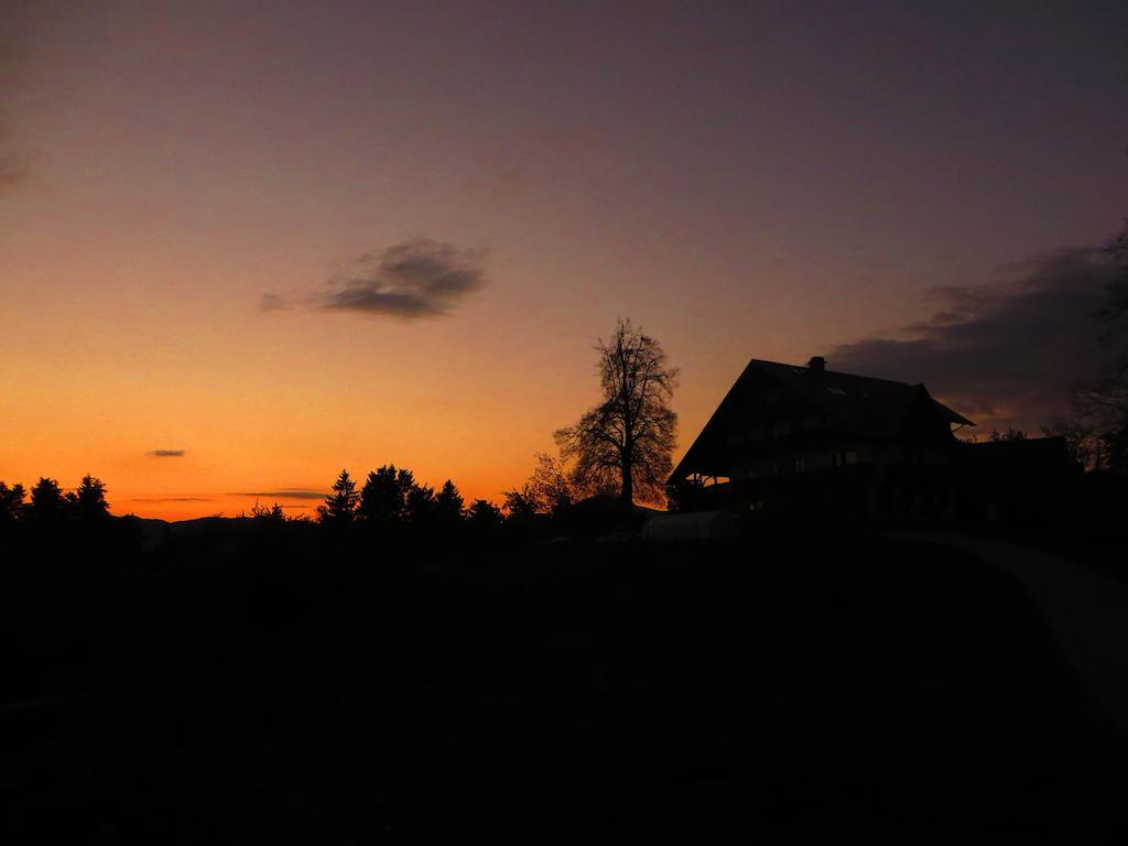 Country House Apat Sostanj Zewnętrze zdjęcie